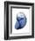 Shimmering Indigo Snail 2-Albert Koetsier-Framed Photographic Print