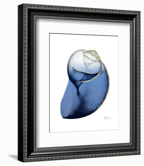 Shimmering Indigo Snail 2-Albert Koetsier-Framed Photographic Print