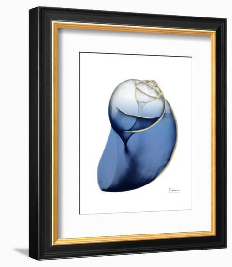 Shimmering Indigo Snail 2-Albert Koetsier-Framed Photographic Print