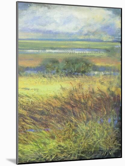 Shimmering Marsh II-H. Thomas-Mounted Art Print