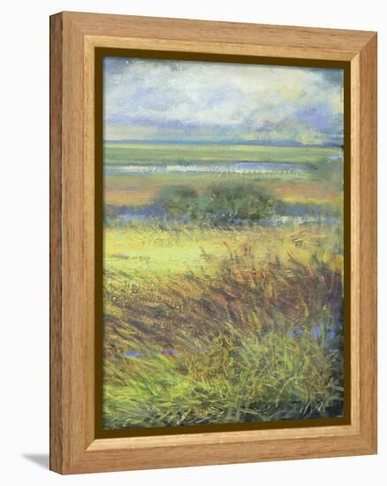 Shimmering Marsh II-H. Thomas-Framed Stretched Canvas