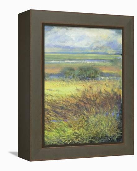 Shimmering Marsh II-H. Thomas-Framed Stretched Canvas