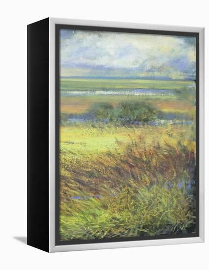 Shimmering Marsh II-H. Thomas-Framed Stretched Canvas