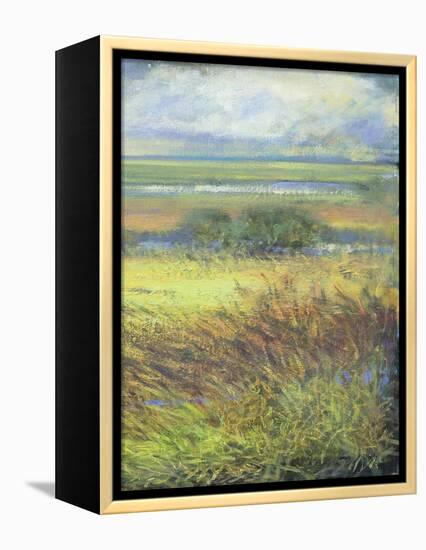 Shimmering Marsh II-H. Thomas-Framed Stretched Canvas