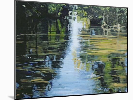 Shimmering River, 2003-Alan Byrne-Mounted Giclee Print