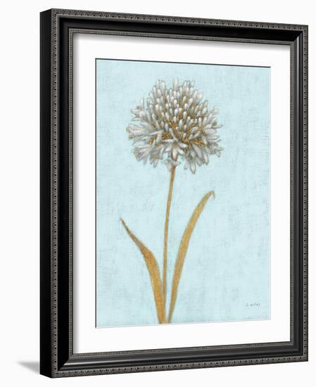 Shimmering Summer I REB Crop-James Wiens-Framed Art Print