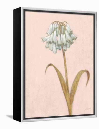 Shimmering Summer II Blush Crop-James Wiens-Framed Stretched Canvas