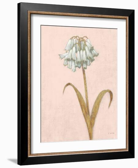 Shimmering Summer II Blush Crop-James Wiens-Framed Art Print