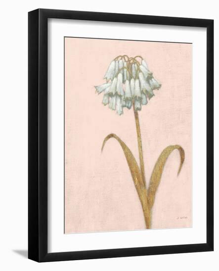 Shimmering Summer II Blush Crop-James Wiens-Framed Art Print