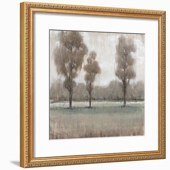 Shimmering Trees II-Tim OToole-Framed Premium Giclee Print