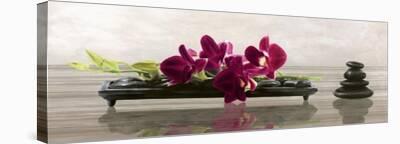 Velvet Orchids-Shin Mills-Stretched Canvas