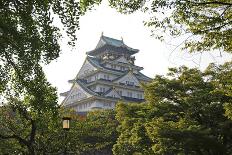 Osaka Castle-Shin Terada-Framed Photographic Print