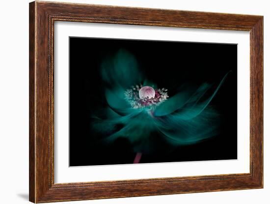 Shine-Jacky Parker-Framed Giclee Print