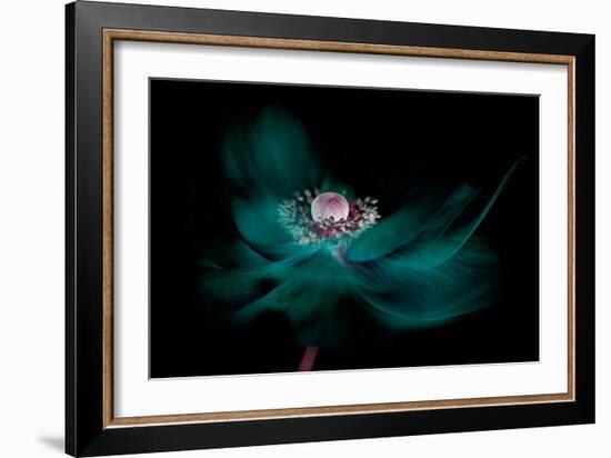 Shine-Jacky Parker-Framed Giclee Print