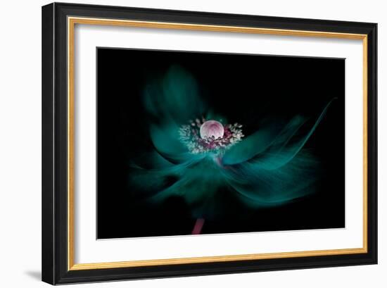 Shine-Jacky Parker-Framed Giclee Print