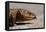 Shingle-Back Skink-Paul Souders-Framed Premier Image Canvas