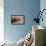 Shingle-Back Skink-Paul Souders-Framed Premier Image Canvas displayed on a wall
