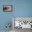 Shingle-Back Skink-Paul Souders-Framed Premier Image Canvas displayed on a wall