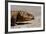 Shingle-Back Skink-Paul Souders-Framed Photographic Print