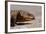 Shingle-Back Skink-Paul Souders-Framed Photographic Print