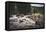 Shingle Creek, Uinta Mountains, Utah-Louis Arevalo-Framed Premier Image Canvas