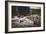 Shingle Creek, Uinta Mountains, Utah-Louis Arevalo-Framed Photographic Print