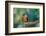 Shining sunbeam, Ecuador.-Adam Jones-Framed Photographic Print