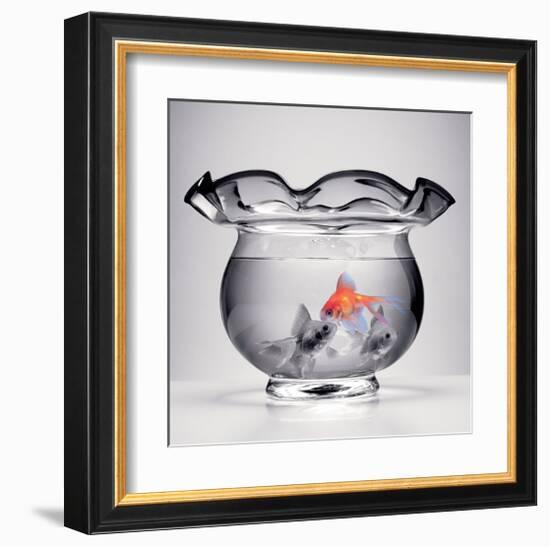 Shining Through-null-Framed Art Print