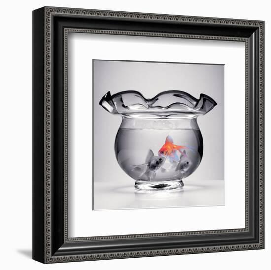 Shining Through-null-Framed Art Print