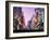 Shinjuku District, Tokyo, Japan-null-Framed Photographic Print