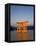 Shinto Shrine Illuminated at Dusk, Island of Honshu, Japan-Gavin Hellier-Framed Premier Image Canvas