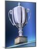 Shiny Trophy-Matthias Kulka-Mounted Giclee Print