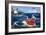 Ship Ahoy-Peter Adderley-Framed Art Print