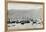 'Ship Awaiting Cargoes of Nitrate at Iquique', 1911-Unknown-Framed Stretched Canvas