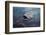 Ship of Hope-Sulaiman Almawash-Framed Photographic Print