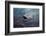 Ship of Hope-Sulaiman Almawash-Framed Photographic Print