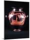 Premium Photographic Print