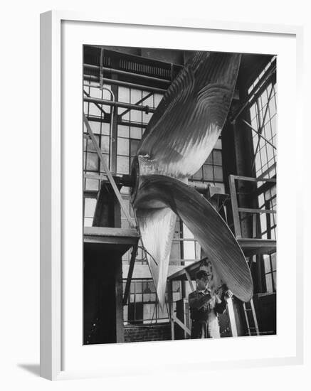 Ship Propellers, Bethlehem Steel-Andreas Feininger-Framed Photographic Print