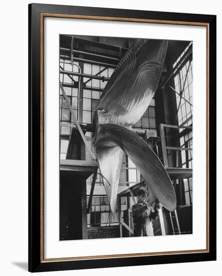 Ship Propellers, Bethlehem Steel-Andreas Feininger-Framed Photographic Print