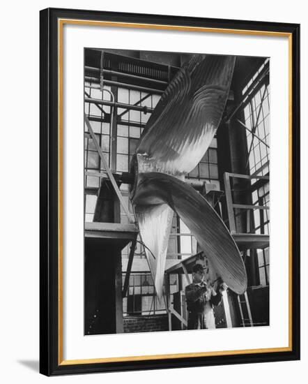 Ship Propellers, Bethlehem Steel-Andreas Feininger-Framed Photographic Print