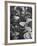 Ship Propellors, Bethlehem Steel-Andreas Feininger-Framed Photographic Print