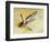 Ship' s anchor-Werner Forman-Framed Giclee Print