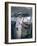 Ship's Captain on the Bridge, Cruise Ship-Gavin Hellier-Framed Photographic Print