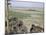Ship's Graveyard Near Aralsk, on Seabed Due to Water Losses, Aral Sea, Kazakhstan, Central Asia-Anthony Waltham-Mounted Photographic Print