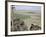 Ship's Graveyard Near Aralsk, on Seabed Due to Water Losses, Aral Sea, Kazakhstan, Central Asia-Anthony Waltham-Framed Photographic Print