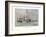 Ship Types from the First Half of the 19th Century-Willy Stower-Framed Giclee Print