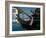 Ship Used in the Film 'Pirates', Cannes, Alpes Maritimes, Cote d'Azur, Provence, France-Bruno Barbier-Framed Photographic Print