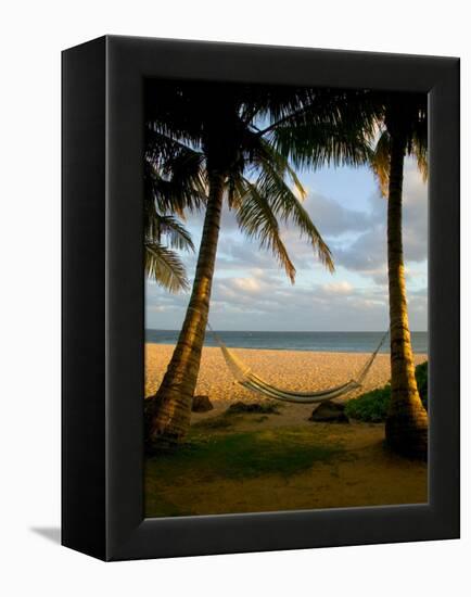 Ship Wreck Beach and Hammock, Kauai, Hawaii, USA-Terry Eggers-Framed Premier Image Canvas