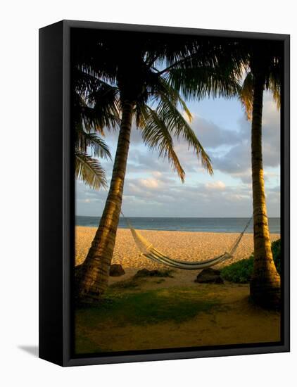 Ship Wreck Beach and Hammock, Kauai, Hawaii, USA-Terry Eggers-Framed Premier Image Canvas