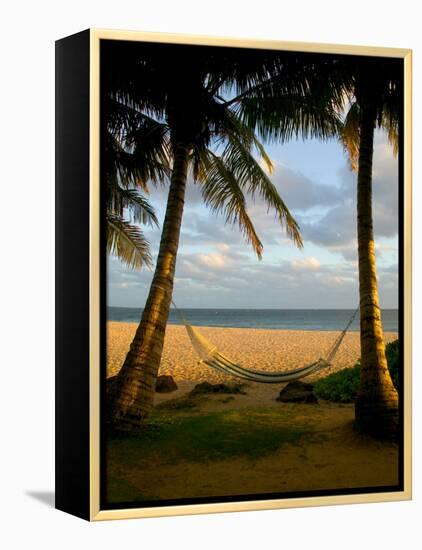 Ship Wreck Beach and Hammock, Kauai, Hawaii, USA-Terry Eggers-Framed Premier Image Canvas